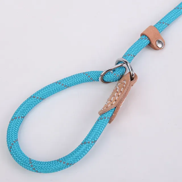 Reflective silk hyena leash Blue - Shop at LoveMi