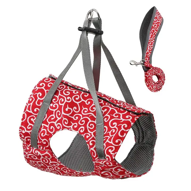Cat towing rope Red - Shop at LoveMi