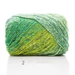 100g / roll Color segment dyed yarn - 2Style