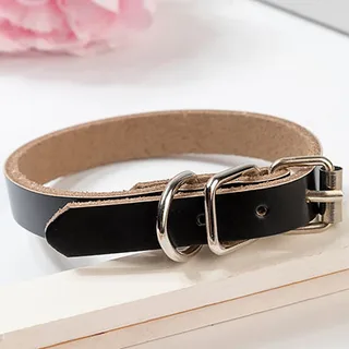 Leather dog collar dog chain - Black