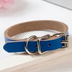 Leather dog collar dog chain - Blue