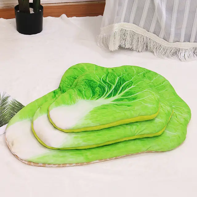 Simulation 3D Pizza Avocado Omelette Toast Pet Warm Blanket Mat Bed Soft Thicken Cabbage Mat - Shop at LoveMi