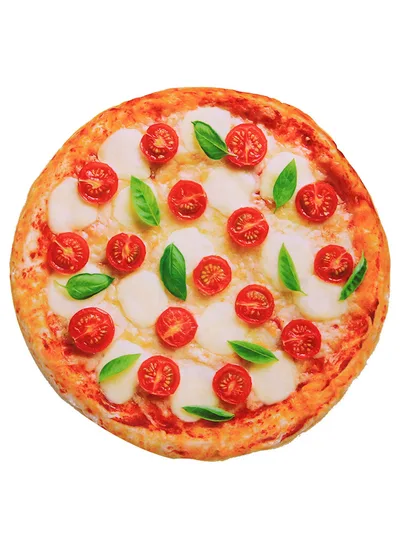 Simulation 3D Pizza Avocado Omelette Toast Pet Warm Blanket Mat Bed Soft Thicken Pizza Blanket - Shop at LoveMi
