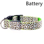 Rechargeable LED Dog Band - Green