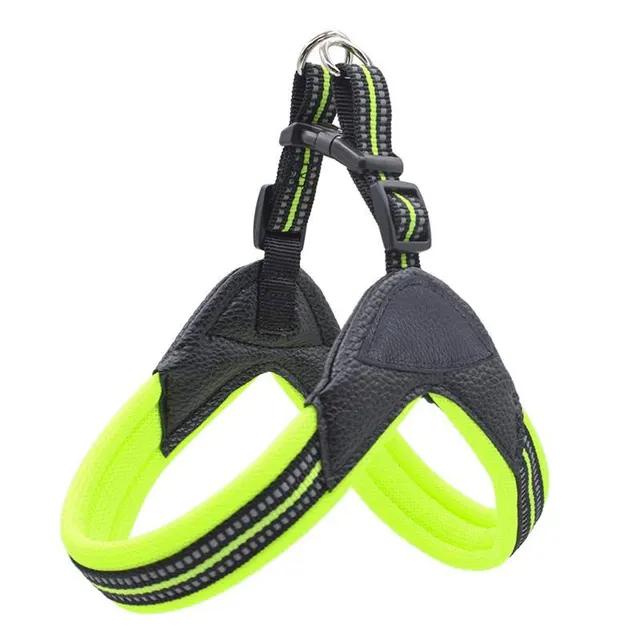 Pet chest harness traction rope set Green - Shop at LoveMi
