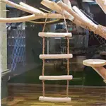 Lifting Ladder