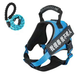 Pet harness with leash - Navy