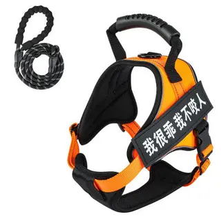 Pet harness with leash - Yellow