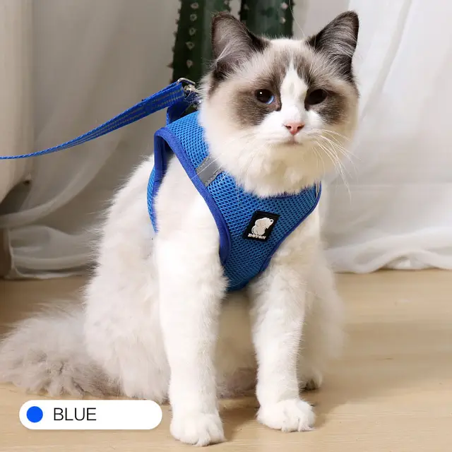 Anti strike cat traction cat harness Blue - Shop at LoveMi