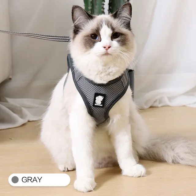 Anti strike cat traction cat harness Grey - Shop at LoveMi