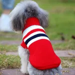 Dog clothes small dog corgi - Red