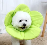 Beauty flower anti-scratch pet protective cover - Green