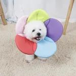 Beauty flower anti-scratch pet protective cover - Rainbow Colors