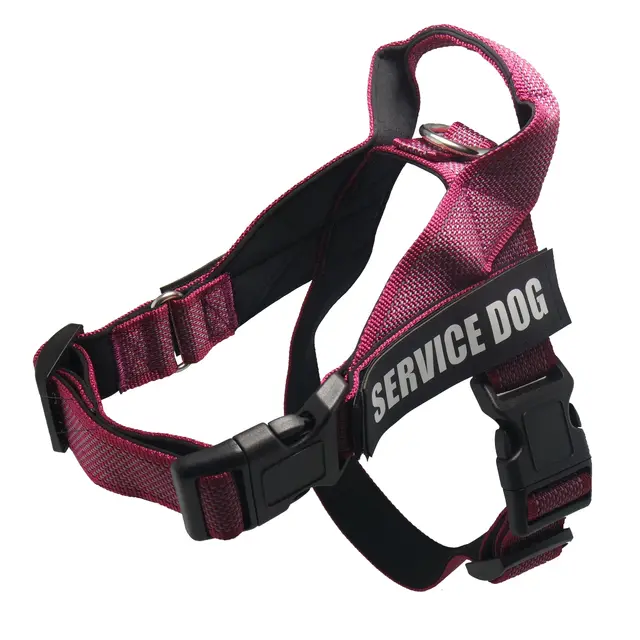 Personalize Pet harness Pink Rose - Shop at LoveMi