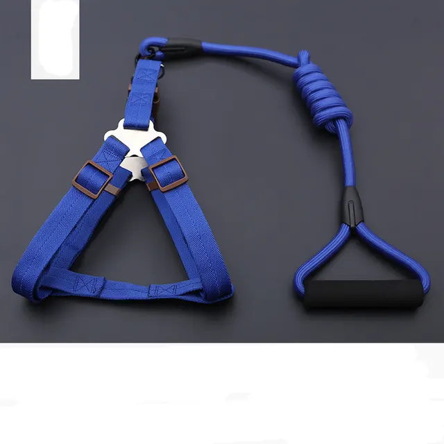 Dog Leash Golden Retriever Teddy Chest Strap Collar - Blue