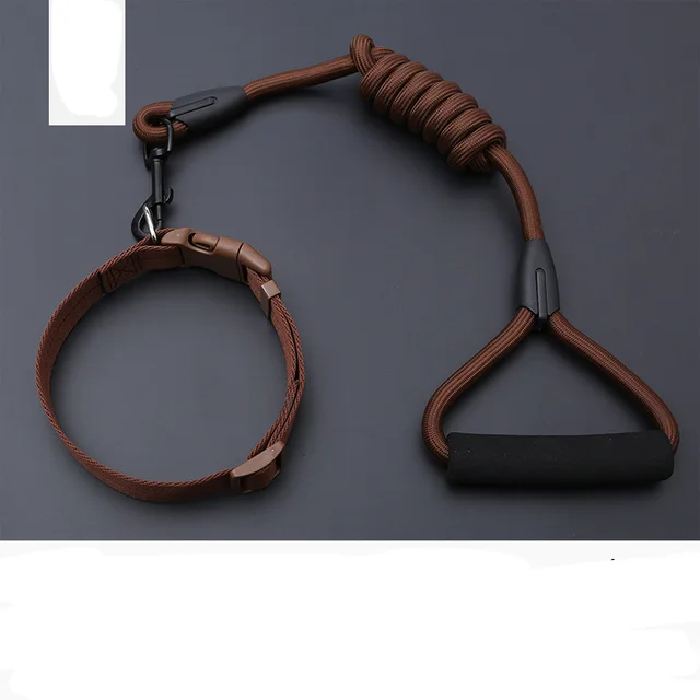 Dog Leash Golden Retriever Teddy Chest Strap Collar Brown - Shop at LoveMi