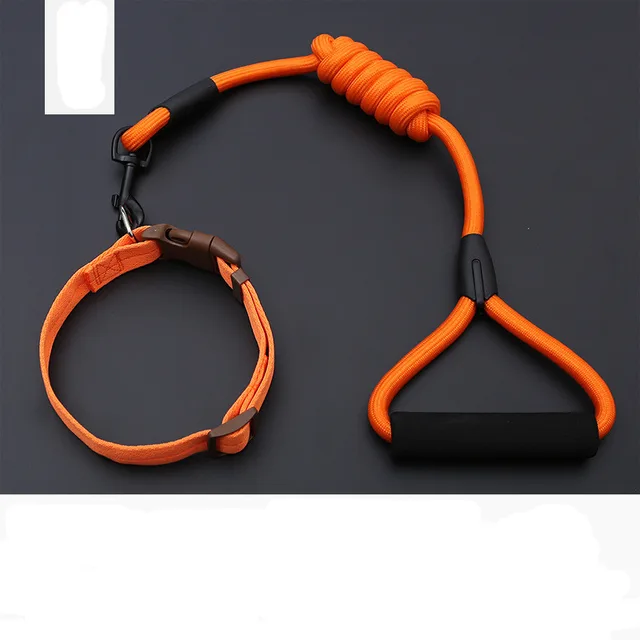 Dog Leash Golden Retriever Teddy Chest Strap Collar - Orange