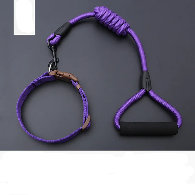 Dog Leash Golden Retriever Teddy Chest Strap Collar - Purple