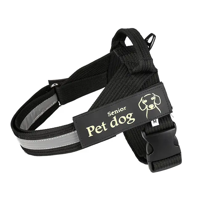 Dog leash and chest harness - Black