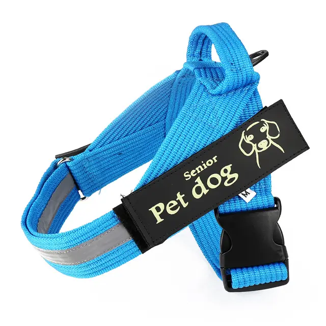 Dog leash and chest harness Blue - Shop at LoveMi