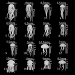 15Number 15