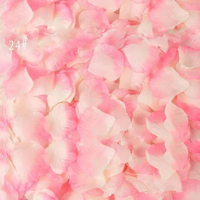 Simulation Rose Petals Marriage Proposal A10 Color - Shop at LoveMi