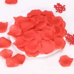 Simulation Rose Petals Marriage Proposal - A4 Color