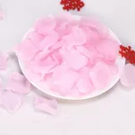 Simulation Rose Petals Marriage Proposal - A5 Color