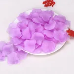 Simulation Rose Petals Marriage Proposal - A6 Color