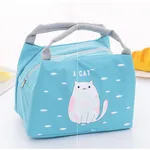 Portable Insulated Lunch Bag Box Picnic Tote Bag - 8Style