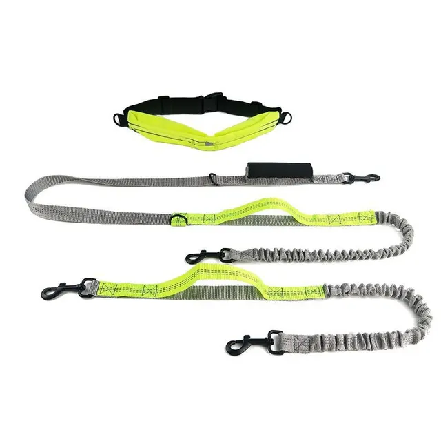 Reflective pull dog leash Green Double Head - Shop at LoveMi