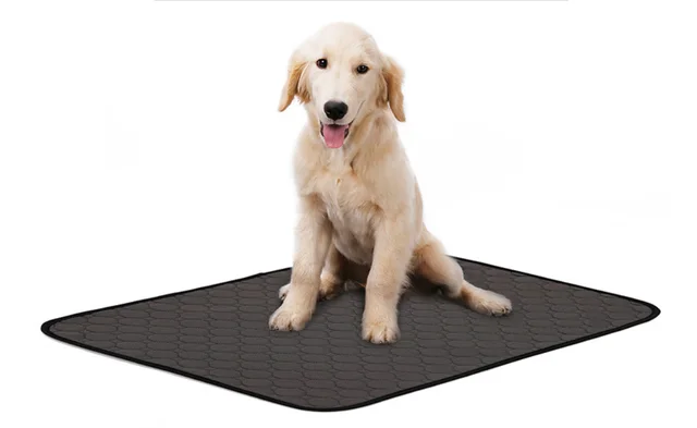 Dog Urine Pad Absorbent Pad Diaper Gray - Shop at LoveMi