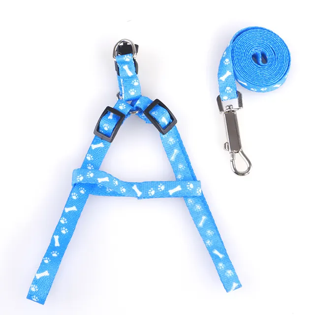 Patch colorful chest strap - Light Blue