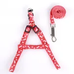 Patch colorful chest strap - Red