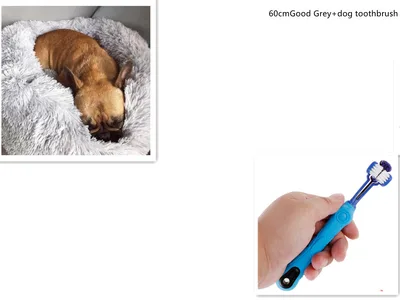 1 random color toothbrush pet plush dog brush in addition to bad breath tartar dental care dog cat cleaning supplies 21Set - Shop at LoveMi