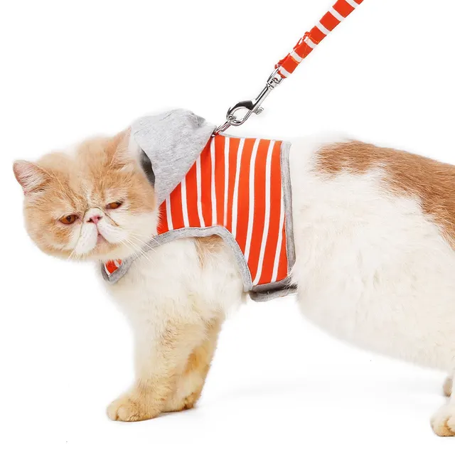 Cat hooded vest outing chest harness Orange - Shop at LoveMi