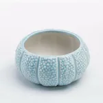 Succulent flower pot - Light Blue Coral