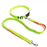 Traction rope dog leash - Green And Orange