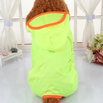 Waterproof Poncho for Chilhuahua Fluorescent Color - Shop at LoveMi