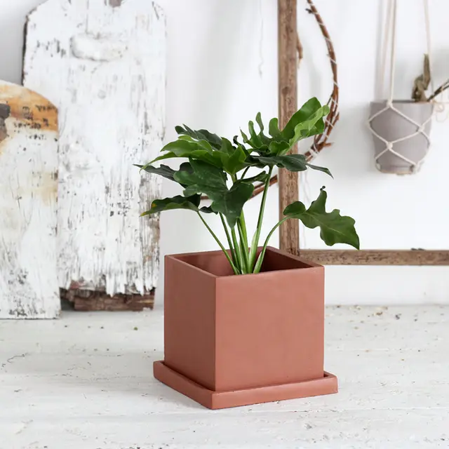 Red cement flower pot - Red