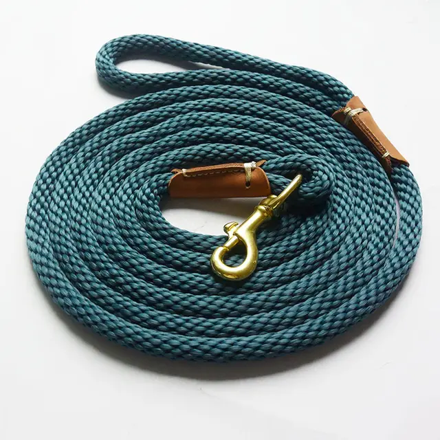 Pet leather nylon traction rope Blue - Shop at LoveMi