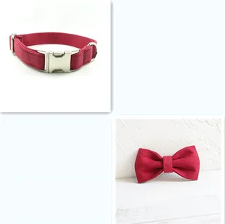 Pet Traction Collar Dog Collar - Red Bset