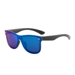 Mercury windproof sunglasses - Purple
