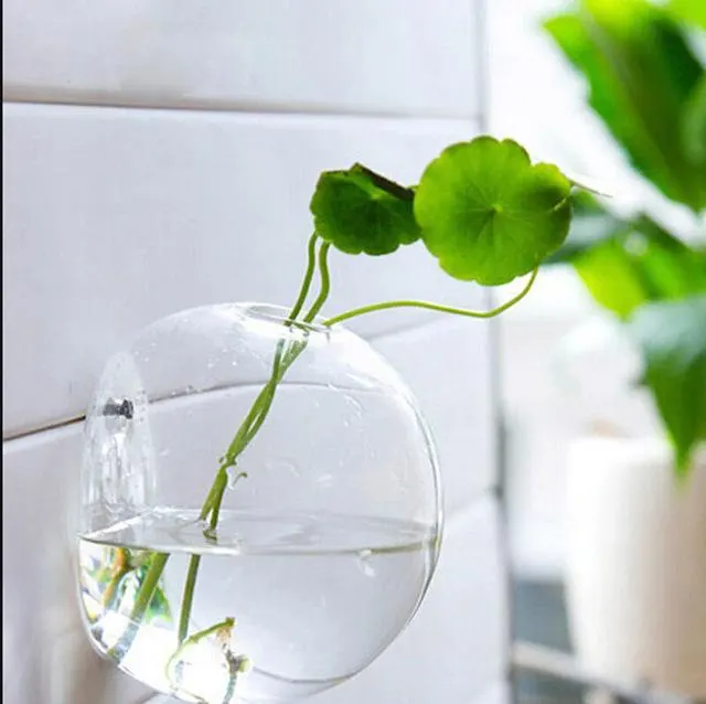 Transparent small fish tank 12Cm - Shop at LoveMi