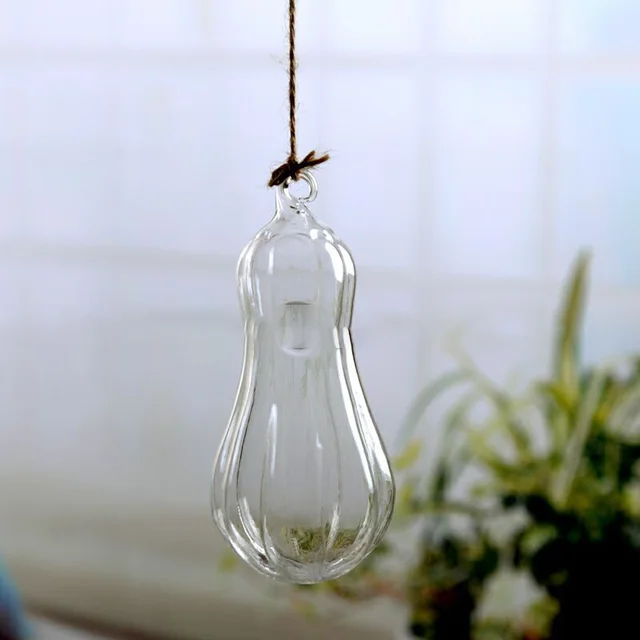 Transparent small fish tank Pumpkin Vase - Shop at LoveMi